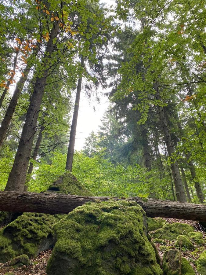 Ferienhaus Waldblick Hohenfels-Essingen Bagian luar foto
