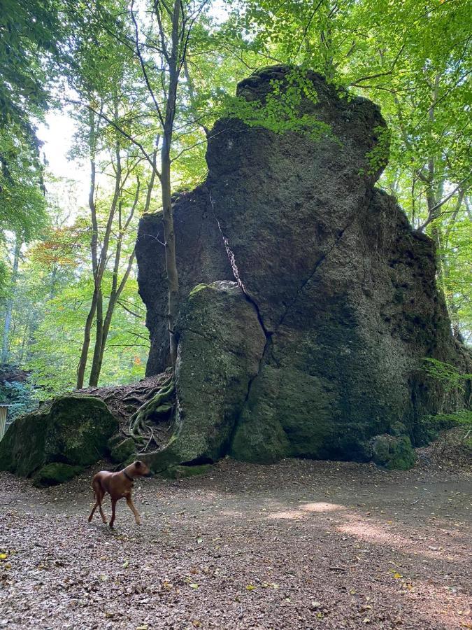Ferienhaus Waldblick Hohenfels-Essingen Bagian luar foto