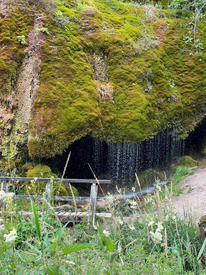 Ferienhaus Waldblick Hohenfels-Essingen Bagian luar foto